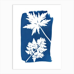Spring Leaf Shape Cyanotype Art Print