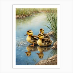 Ducklings 1 Art Print