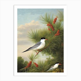 Common Tern Haeckel Style Vintage Illustration Bird Art Print