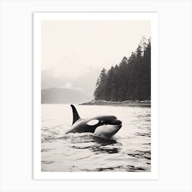 Misty Black & White Orca Whale Forest And Ocean Photography Style 1 Art Print