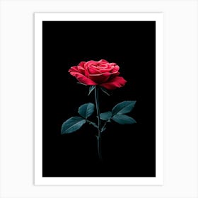 Red Rose On Black Background 62 Art Print