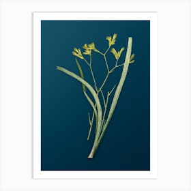 Vintage Anigozanthos Flavida Botanical Art on Teal Blue n.0709 Art Print