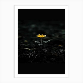 Single Yellow Flower 44 Art Print