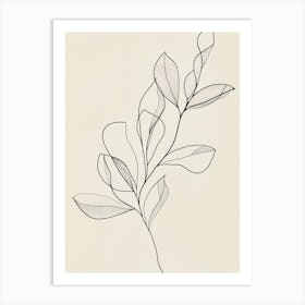 Leaf On A Branch 3 Art Print