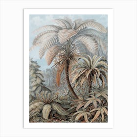 Vintage Haeckel 17 Tafel 92 Laubfarne Art Print