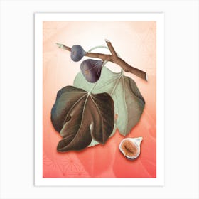 Black Fig Vintage Botanical in Peach Fuzz Asanoha Star Pattern n.0103 Art Print
