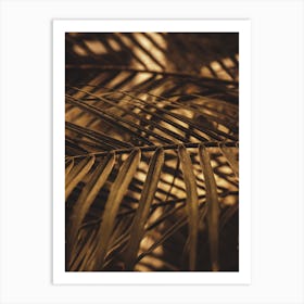 Palm Leaves Art Print