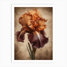 2024 May Poster Canvas Sng Iris 13 Art Print