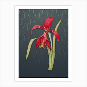 Vintage Amaryllis Botanical on Slate Gray Pattern n.1179 Art Print