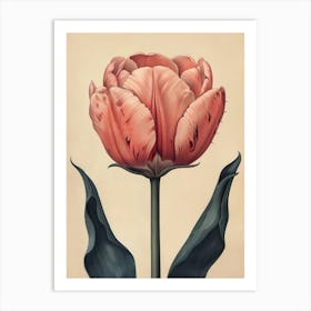 Floral Art 0010 Flower Single 0016 Fine Flowers 0012 Bp6586 An Old School Botanic Detailed Drawing Of A Carnivorous Art Print