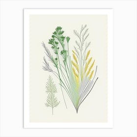 Fennel Seeds Spices And Herbs Minimal Line Drawing 6 Art Print