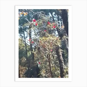 Rhododendrons In A Forest 2 By Binod Dawadi Art Print