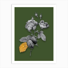 Vintage Anemone Centuries Rose Black and White Gold Leaf Floral Art on Olive Green Art Print