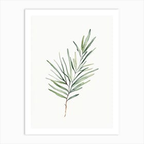 Rosemary Leaf Minimalist Watercolour 1 Art Print