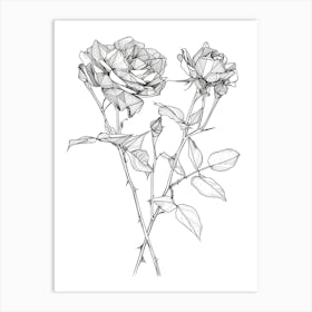 Roses Sketch 2 Art Print