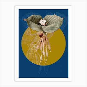 Vintage Botanical Sand Ginger on Circle Yellow on Blue Art Print