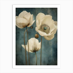 Poppies 31 Art Print