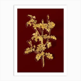 Vintage Prickly Sweetbriar Rose Botanical in Gold on Red n.0060 Art Print