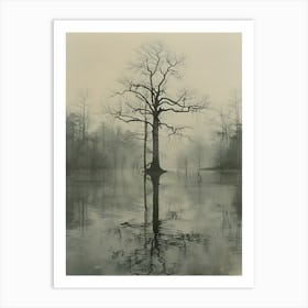 Tree In The Fog 1 Art Print