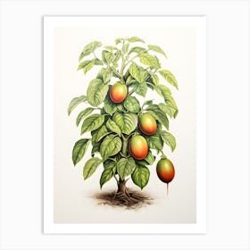 Avocado plant drawing Art Print