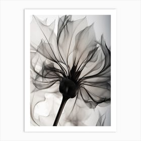 Xray Herbarium Artistic Flowers 1 Art Print