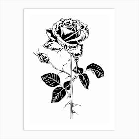 Black And White Rose Line Drawing 7 Art Print