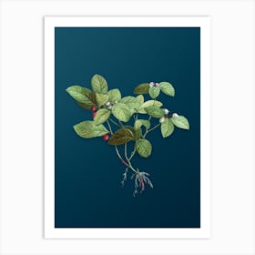 Vintage American Wintergreen Plant Botanical Art on Teal Blue n.0093 Art Print