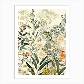 Botanicals Art Print