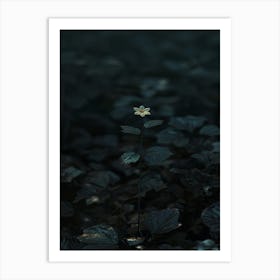 Dark Flower 28 Art Print