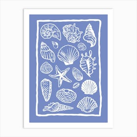 Seashells Blue Art Print