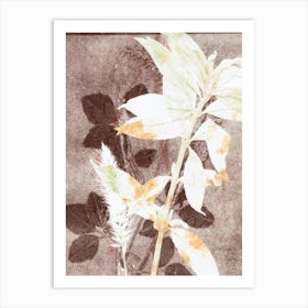 Botanical Leaves Brown White Art Print