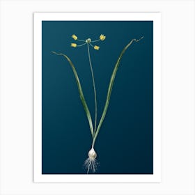 Vintage Allium Scorzonera Folium Botanical Art on Teal Blue n.0908 Art Print
