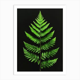 Fern Leaf On Black Background Art Print