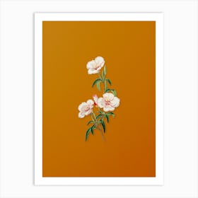 Vintage Wine Stained Godetia Flower Botanical on Sunset Orange n.0183 Art Print