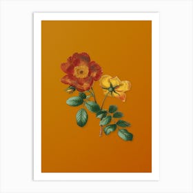 Vintage Sweetbriar Rose Botanical on Sunset Orange n.0821 Art Print