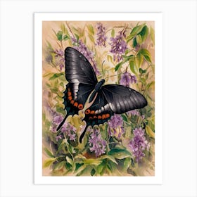 Black Swallowtail Butterfly Art Print