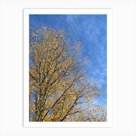 Autumn Tree Against Blue Sky 1 Art Print