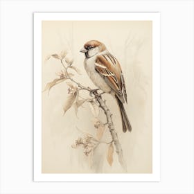 Vintage Bird Drawing Sparrow 2 Art Print