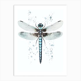 Dragonfly Darner Aeshna 2 Art Print