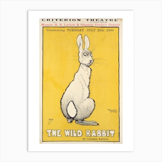 The Wild Rabbit Art Print