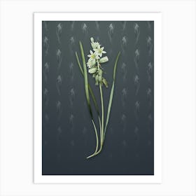 Vintage Drooping Star of Bethlehem Botanical on Slate Gray Pattern n.0758 Art Print