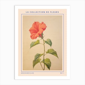 Bougainvillea French Flower Botanical Poster Art Print