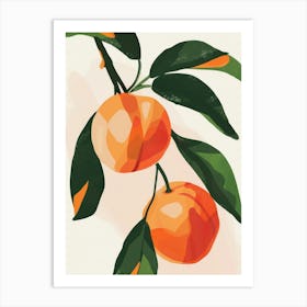 Nectarines Close Up Illustration 2 Art Print