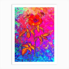 Stapelia Rose Bloom Botanical in Acid Neon Pink Green and Blue Art Print