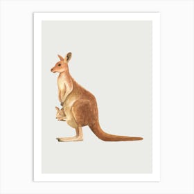 Kangaroo Art Print