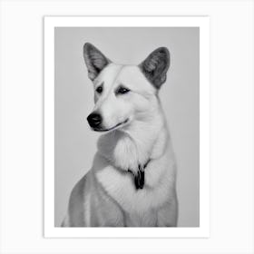 Canaan Dog B&W Pencil Dog Art Print