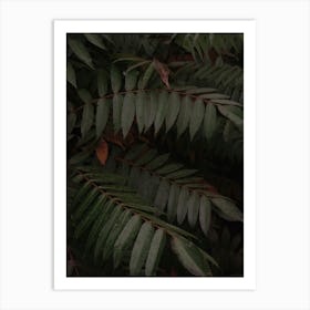 Dark Green Tropical Foliage Vertical Art Print