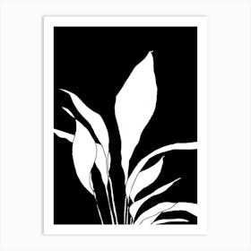 Black And White Plant Art Print