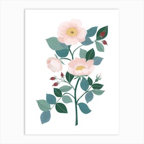 Wild Rose Flower Botanical Painting Art Print