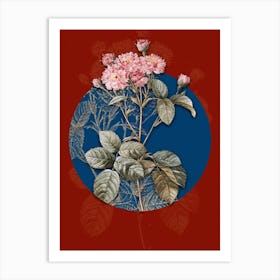 Vintage Botanical Vintage Pink Rosebush on Circle Blue on Red n.0258 Art Print